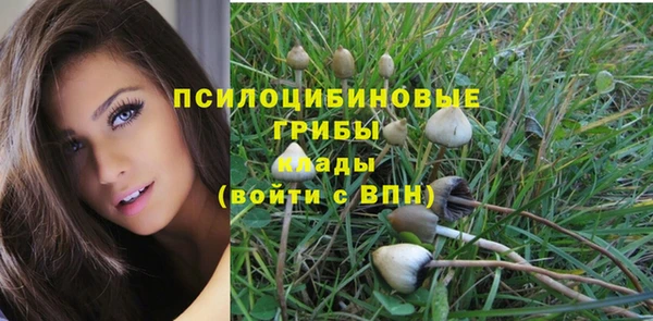 сатива Армянск