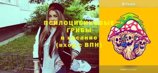 гидра Алексин
