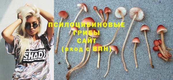 гашиш Арсеньев