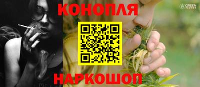 стафф Заводоуковск
