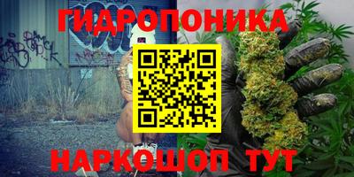 стафф Заводоуковск