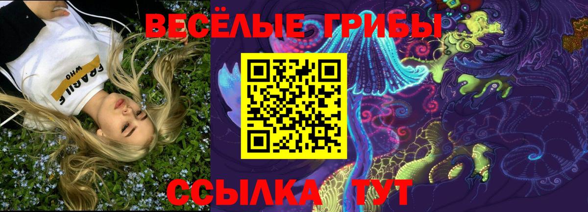Галлюциногенные грибы мицелий  Псилоцибиновые грибы GOLDEN TEACHER  Вход с VPN  Лянтор 